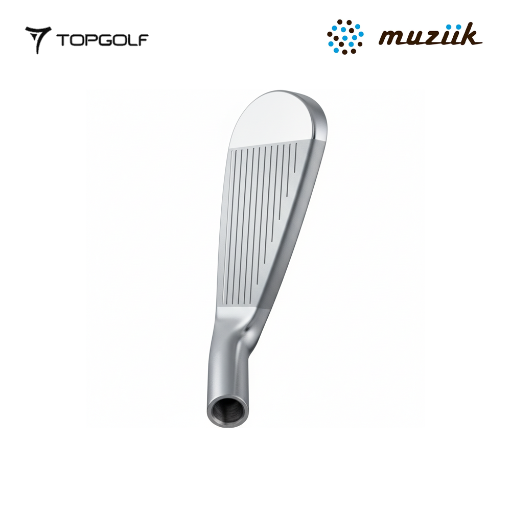 MUZIIK IRON LOOSE ON THE SCREW DD IRON AXIOM 75 39' #9 S