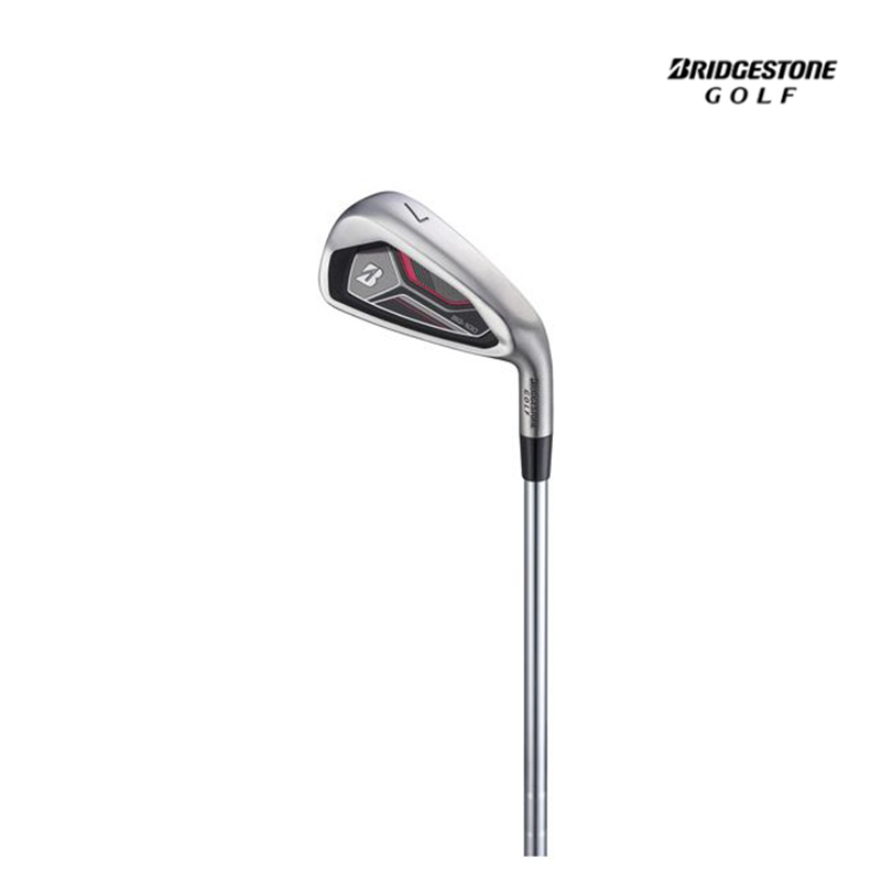 FULL SET BRIDGESTONE BG-100 BGLBKCR 12 PCS GRAPHITE #R