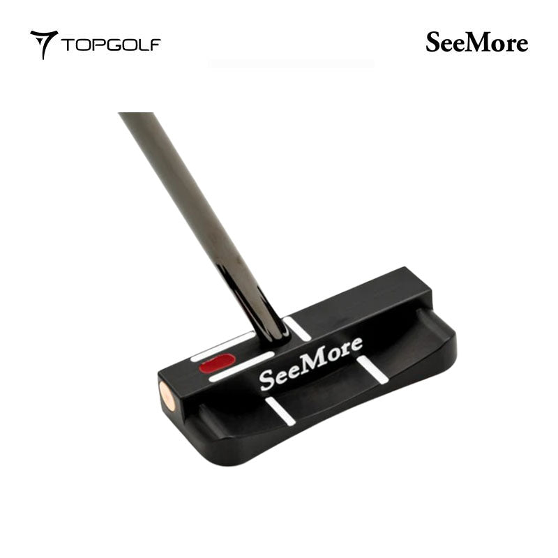 SEEMORE PUTTER MINIGIANT CURVEBACK P1531S #34