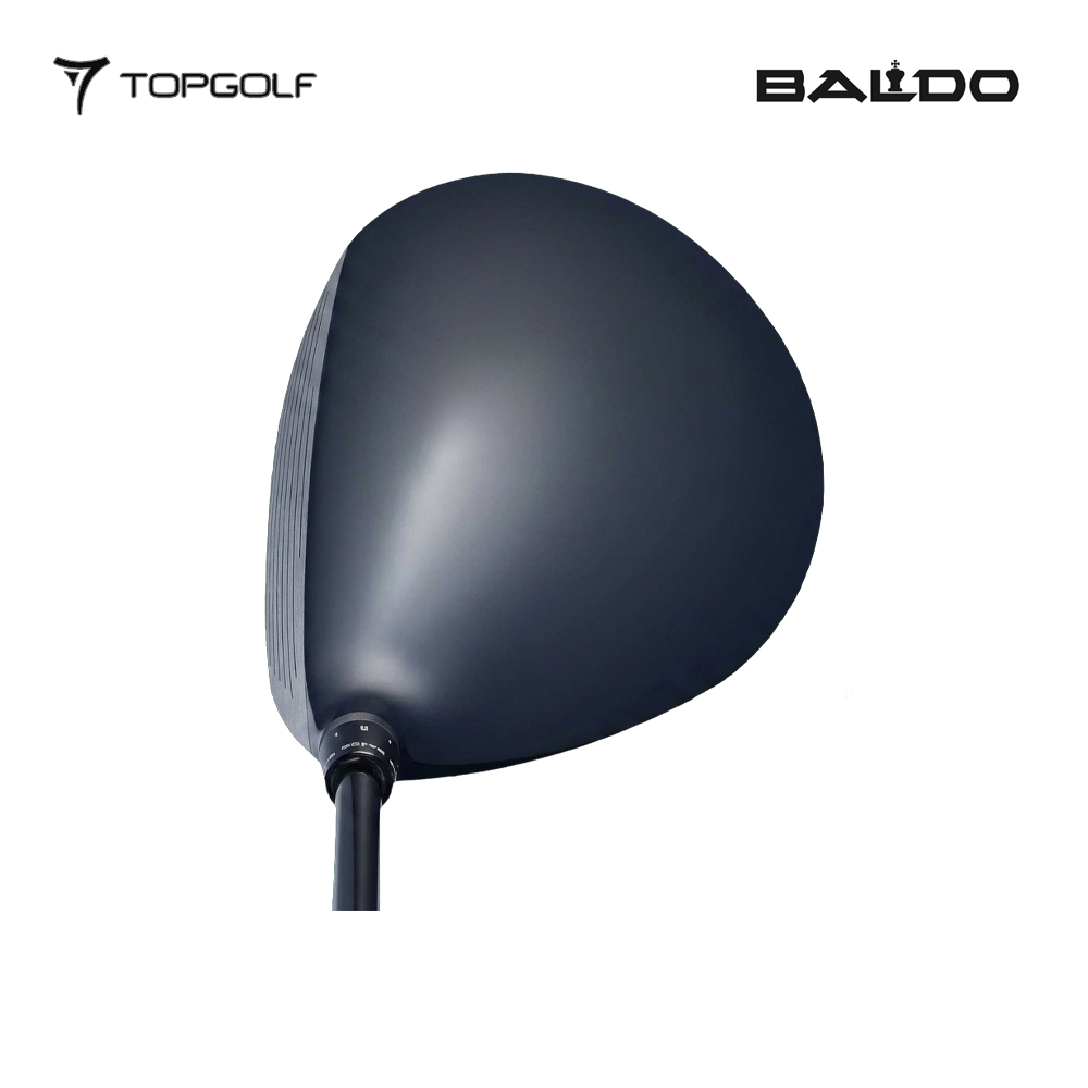 BALDO DRIVER GT6 TT SHALLOW PROTO VISTA PRO 55 #9.5 R