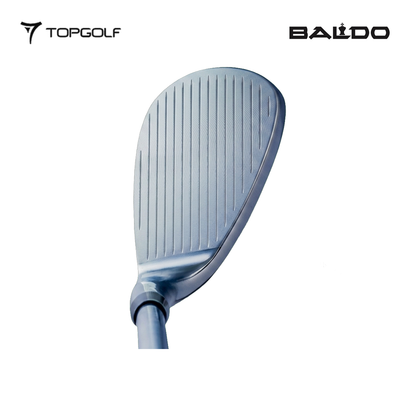 BALDO WEDGE TT FORGED PROTO BLACK NS PRO 1050GH