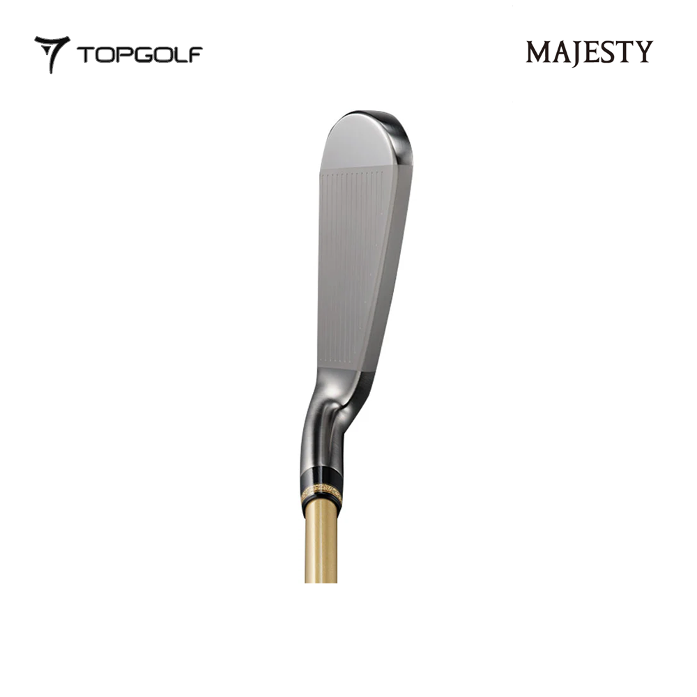 MAJESTY IRON LOOSE ROYALE LV560 25 #5 R
