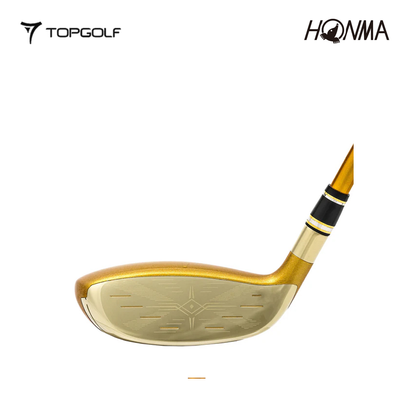 HONMA HYBRID BERES 09 ARMRQ FX 5S #4 R