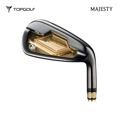 IRON MAJESTY CELESTIAL TL931 #5-9PAS L